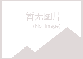 银川西夏大海化学有限公司